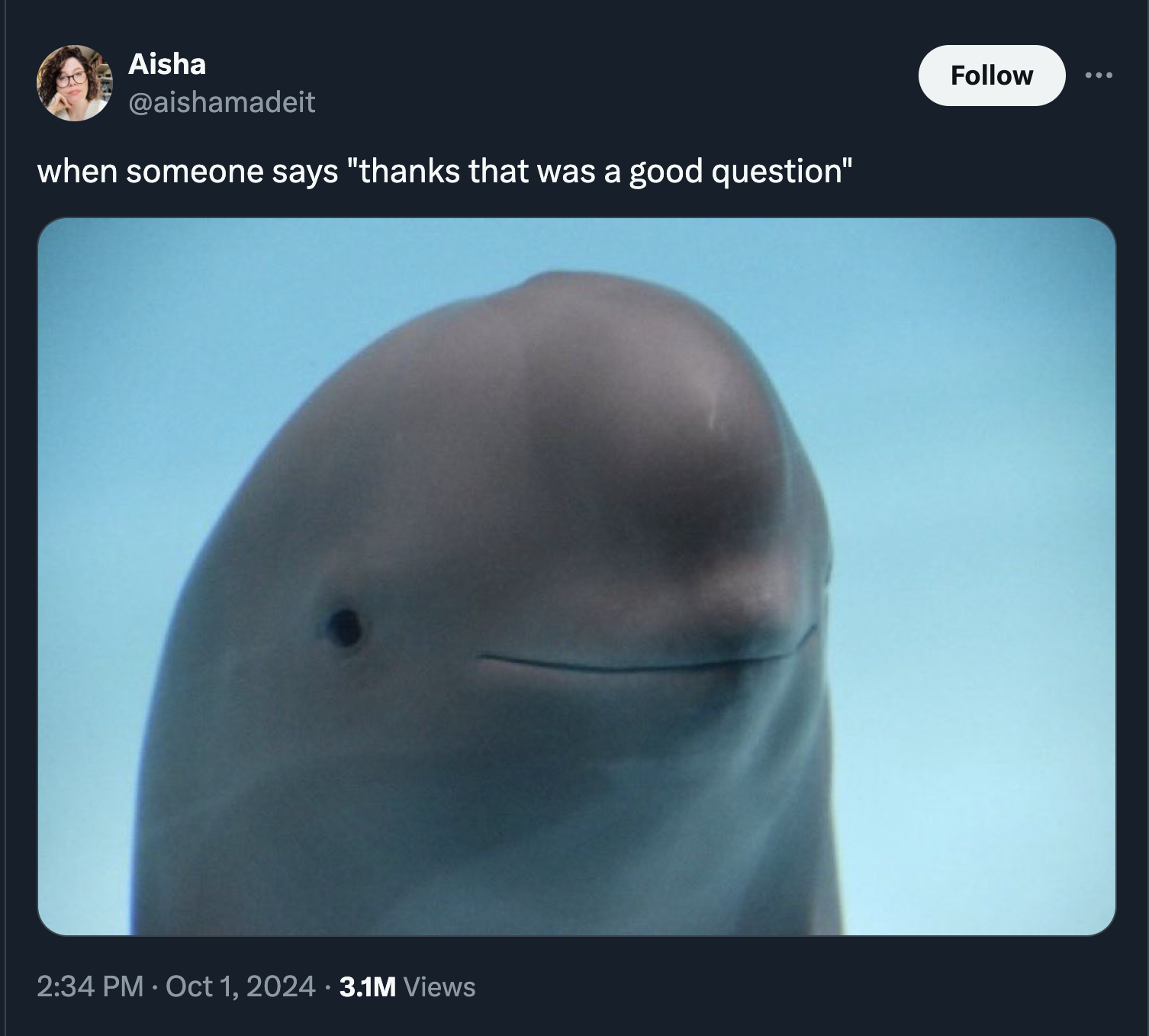 beluga whale - Aisha when someone says "thanks that was a good question" 3.1M Views